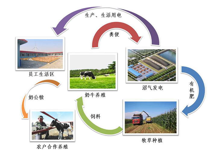 牧場(chǎng)生態(tài)流程圖.jpg